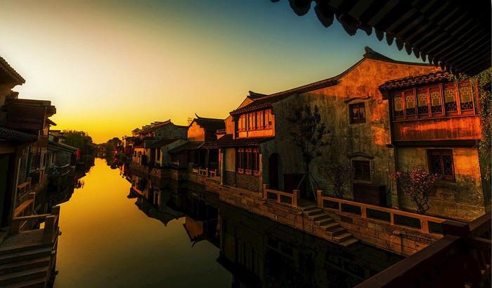 僵尸顶顶乐